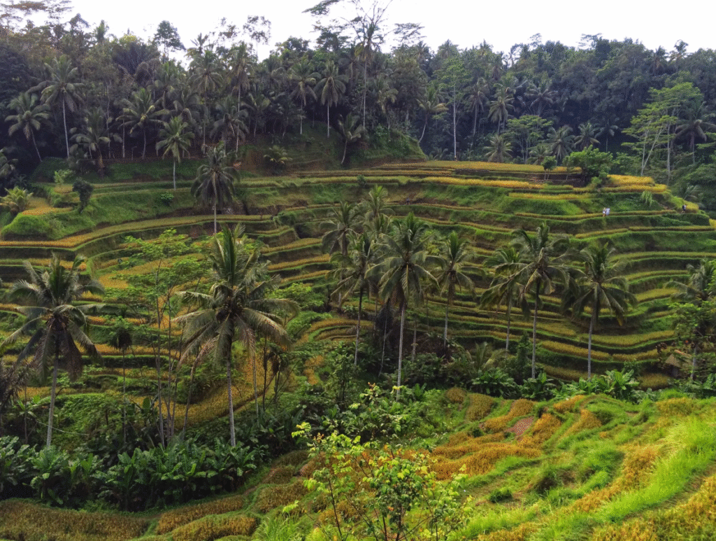 Tempat Instagramable di Bali