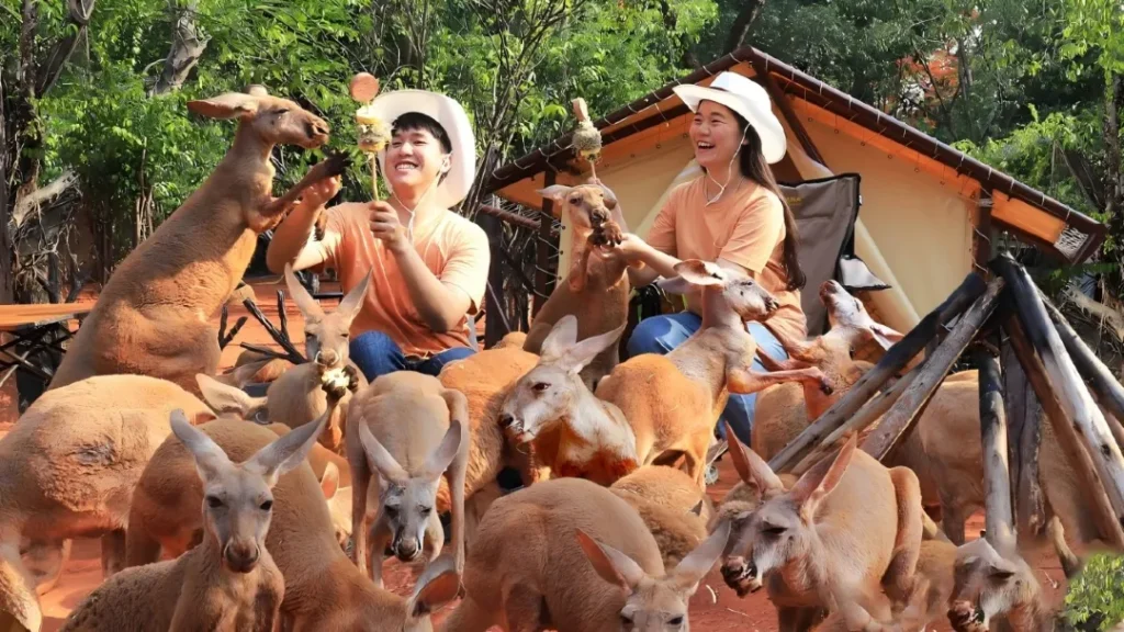Bangkok Safari World Day Tour with Private Charter