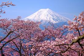Kyoto Day Tour: Amanohashidate Viewpoint & Ine Funaya Village