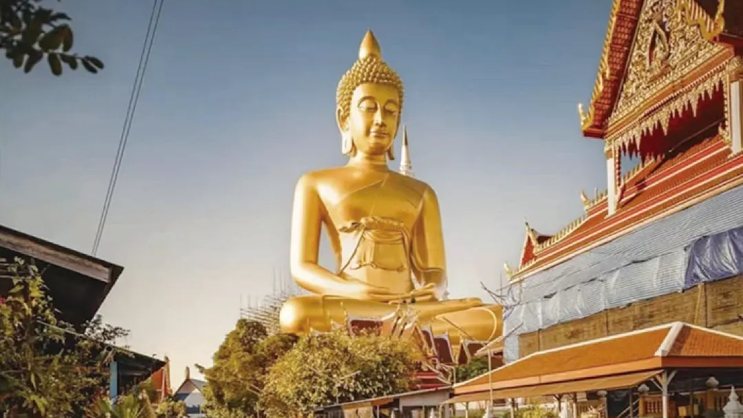 Phi Phi Island + Maya Bay one-day tour in Phuket, Thailand