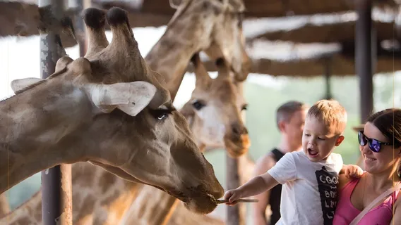 Bangkok Safari World Day Tour with Private Charter