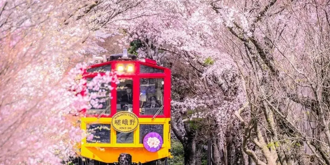 Japan Kyoto Arashiyama + Sanzenin Temple + Arashiyama Sagano Sightseeing Train