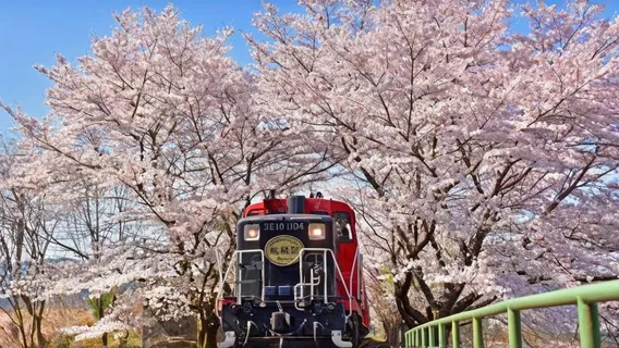 Japan Kyoto Arashiyama + Sanzenin Temple + Arashiyama Sagano Sightseeing Train