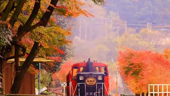 Japan Kyoto Arashiyama + Sanzenin Temple + Arashiyama Sagano Sightseeing Train