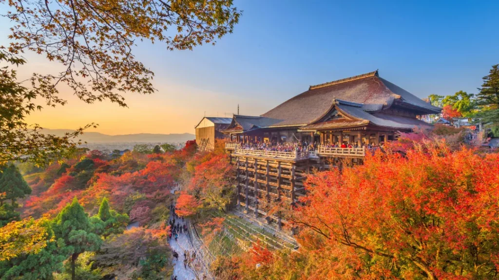 One-Day Tour of Nara Park & Kyoto: Feed Deer & Discover Japan’s Spiritual Treasures
