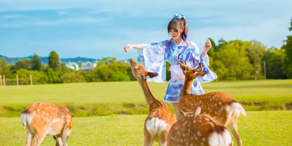 Discover Nara & Fushimi Inari from Osaka