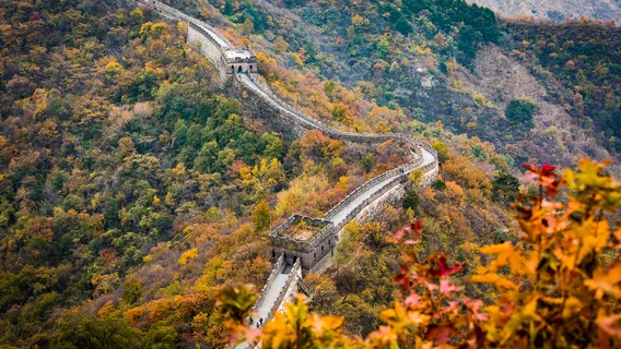 Beijing Panda House and Mutianyu Great Wall Full