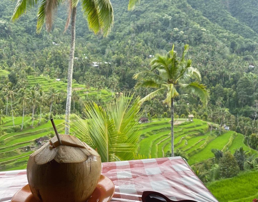 Gianyar Bali (Sumber Foto : Tripadvisor)