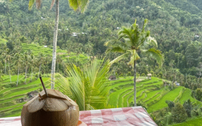 5 Hal Menakjubkan yang Dapat Dilakukan di Kabupaten Gianyar Bali Saat Liburan Gianyar Bali (Sumber Foto : Tripadvisor)