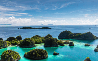 5 Alasan Terbesar Mengapa Anda Harus Menyewa Yacht Saat Berlibur ke Raja Ampat Raja Ampat (Sumber Foto : Expatlifeindonesia.com)