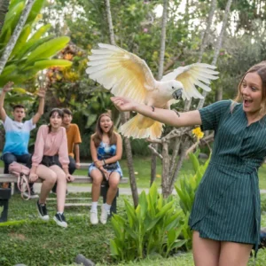 Bali Bird Park