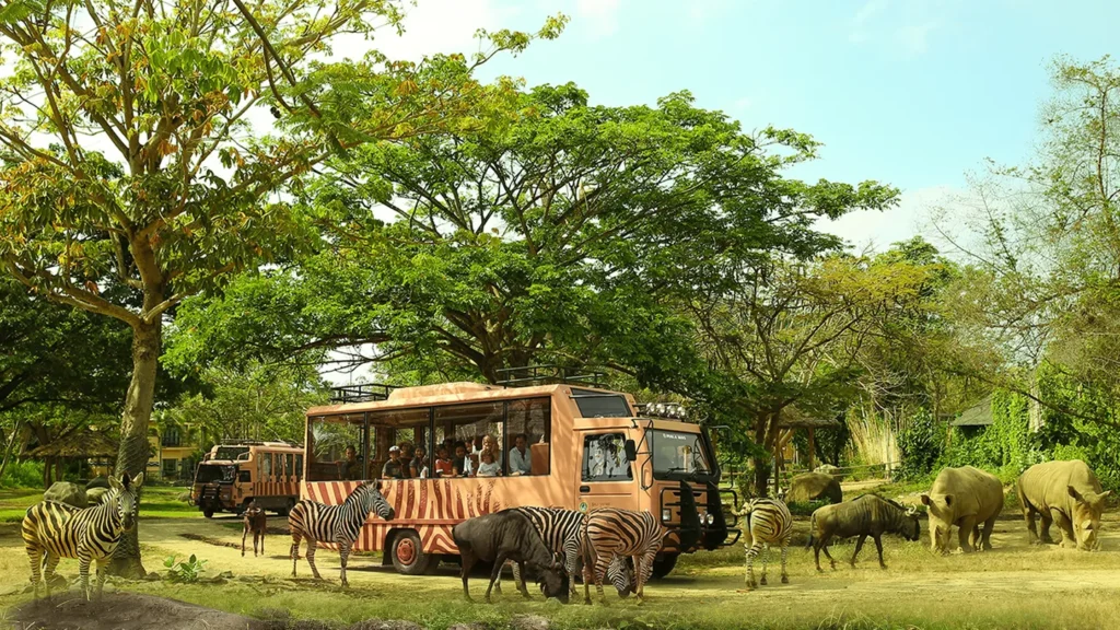 Bali Safari: Jungle Hopper Package