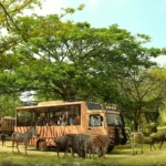 Bali Safari & Marine Park