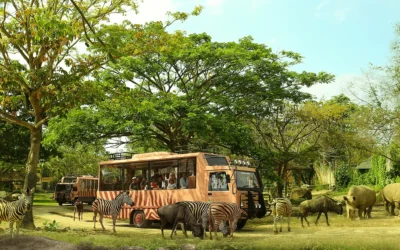 Bali Safari: Jungle Hopper Package Bali Safari & Marine Park