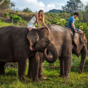 Bali Zoo