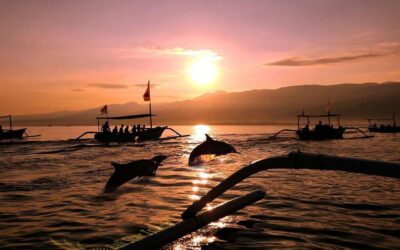Lovina Dolphin Tour Bali Lovina Dolphin